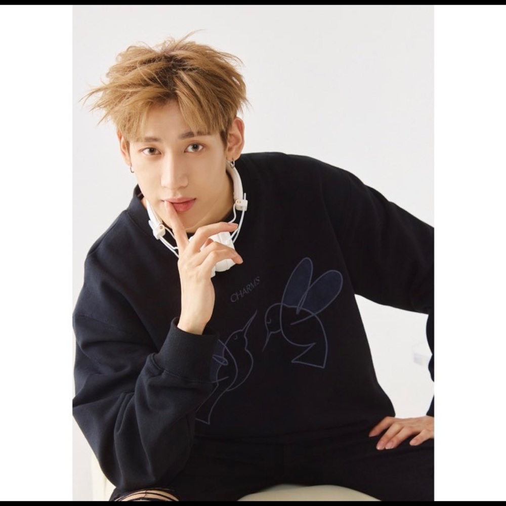 CHARM'S x BAMBAM GOT7 DOUBLE BIRD APPLIQUE SWEATSHIRT BLACK